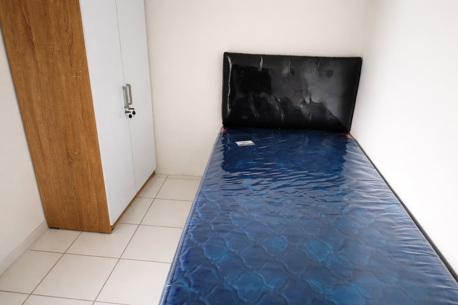 ChatGPT Image Feb 15, 2026, 12_43_09 PM