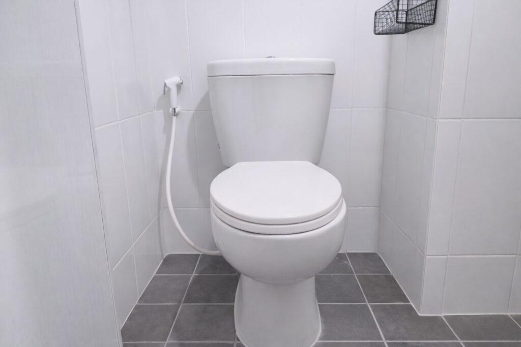 WhatsApp Image 2026-02-13 at 16.34.55