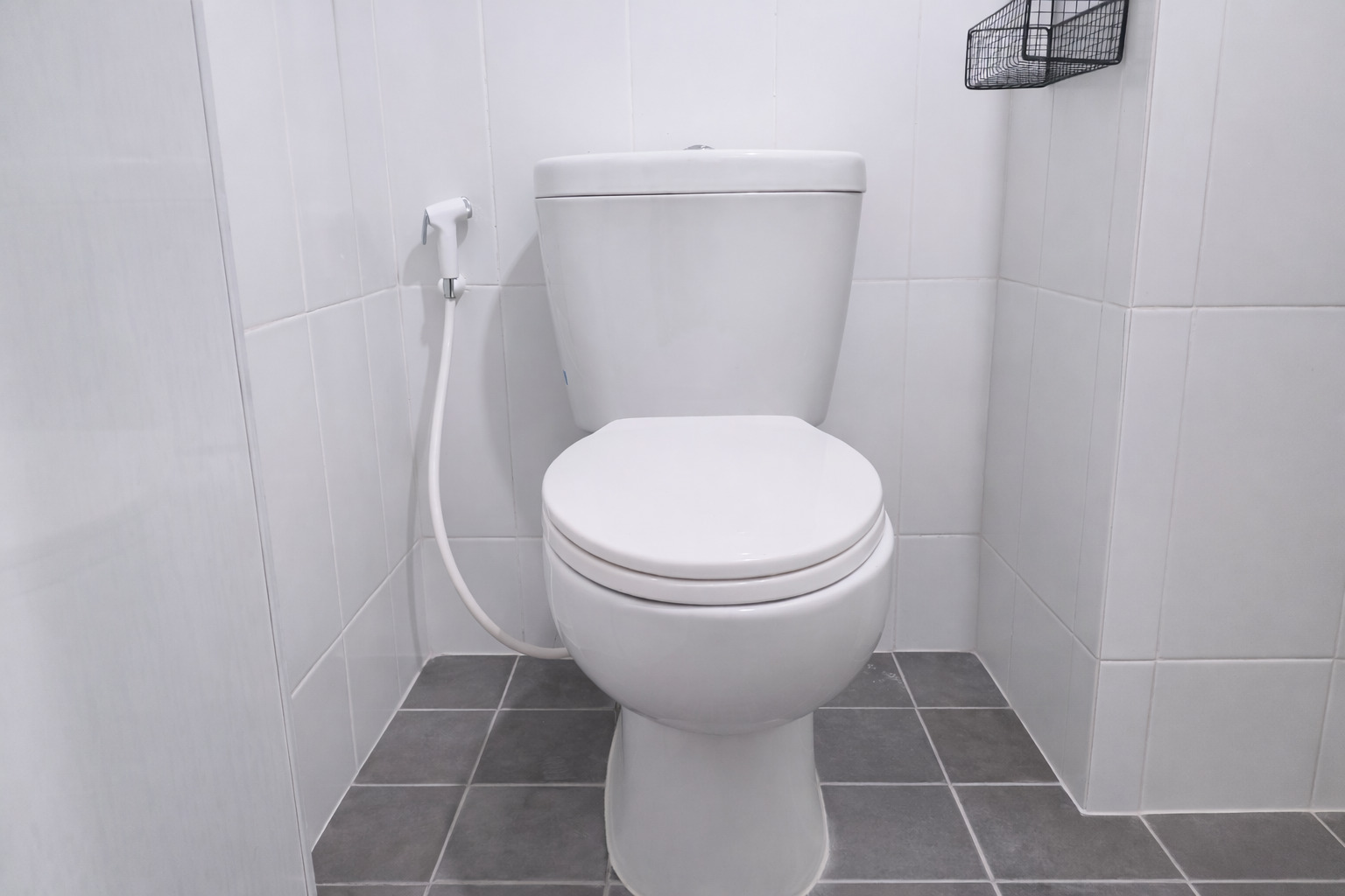 WhatsApp Image 2026-02-13 at 16.34.55